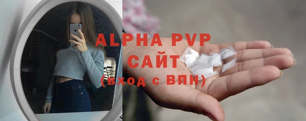 сатива Балахна